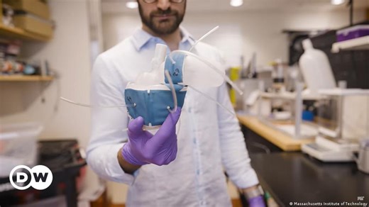 Robotic replica: A heart made by a 3D printer