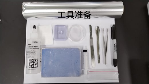 第11讲-动物组织OCT冷冻包埋实操视频
