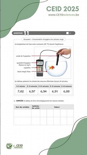 CE1D 2025 - Question 11