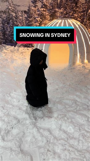 Experience Real Snow at Area 51 Castle Hill