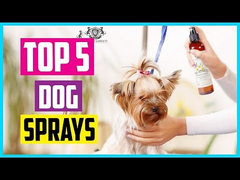 ✅ Top 5 Best Dog Sprays In 2024 Review