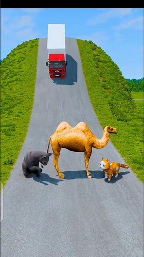 Big & Small Cars & Truck VS Camel & Cats #5 - BeamNG.Drive#shorts #beamng