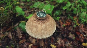 Small compass on top of a big mushroom in nature - Free Stock Video