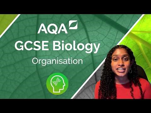 AQA GCSE Biology: Principles of Organisation