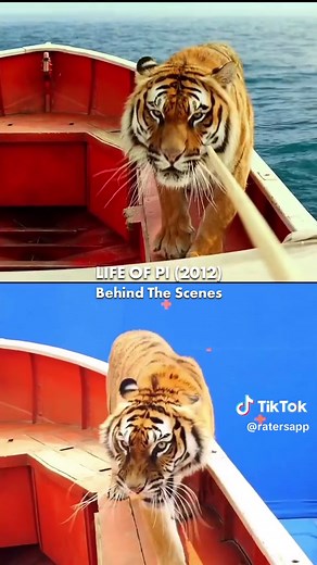 Four real tigers were used in the production, for reference and motion capture, as well as for actual pivotal scenes 🐯🛶 #lifeofpi #lifeofpi2012 #lifeofpibehindthescenes #ratersapp