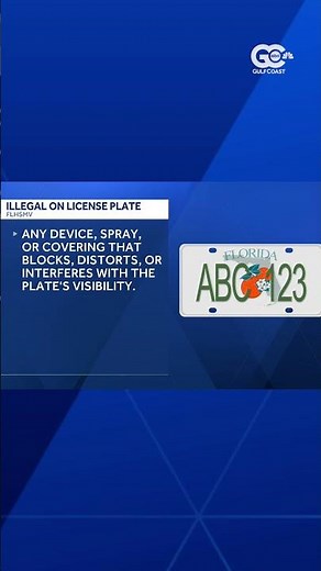 What to know about Florida license plate frames