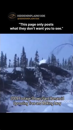 hidden truths on Instagram: "In the shadows of our screens… something’s hiding. Not in the dark web. Not in outer space. But right here — inside the code that runs our world. Lines of data that change on their own. Programs that whisper back when no one’s typing. Files that were never meant to be opened — and names that were never meant to be known. Governments call it “a glitch.” Hackers call it “a ghost in the code.” But what if it’s neither? What if someone — or something — is sending a messa