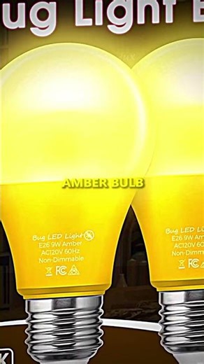 Insect Can See Ultraviolet 🦋 🐞 w/ Neil deGrasse Tyson