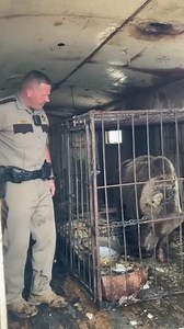 Neighbors reported a foul smell coming from a trailer that a bankrupt circus had abandoned weeks ago. The deputy expected to find a crime scene, but when his eyes adjusted to the gloom, he found a tragedy that brought him to his knees. Deputy Carter has spent 15 years on the force, hardening his heart against the things people do to one another. He had been dispatched to the old fairgrounds on the edge of the county, where the traveling circus had packed up and vanished in the middle of the nigh