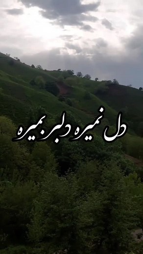 ‎꧁ مازنے برنـد ꧂‎ on Instagram‎: "قصه ی با تو بودن رو فقط یک جور میشه گفت کسی که روی زخمای من مثل نمک بود........... @meysam.sheykhi_official #explore #میثم شیخی #مازنی_گپ_بزوئن_مه_افتخاره #اکسپلور #مازندرانی_اهنگ #مازندران_زیبا #مازندران_بابل #مازندران_مازندران #مازنی_ریکا #مازنی_وچون #مازنی_کیجا"‎