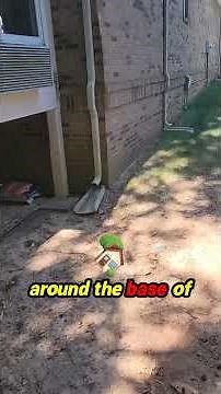 Tired of erosion ruining your yard? Let's dig into effective solutions!