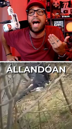 Tudományos magyarázat! 😂☀️ #Nessaj #PINGVINEK #Reakció | Nessaj