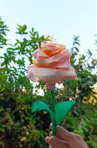 How to Make Aesthetic Rose With Tissues Paper/ Diy Flower Making Ideas/ #diy #craft #rose #shorts
