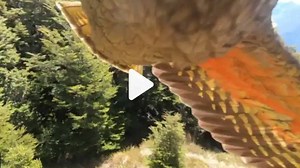 Viral Video: నేనూ మాంచి ఫోటోగ్రాఫర్‌నే.. కెమెరాతో చిలుక ఏం చేసిందో చూస్తే మతిపోవాల్సిందే!