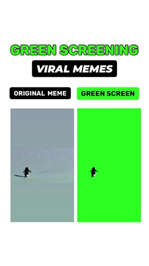 DM “MEME” to get the 4K download 📥 But why penguin Original vs But why penguin green screen Get this video in 4K with our app: www.GreenScreenMemes.app — now on iOS 📲 #memes #butwhypenguin #greenscreen #fyp #meme