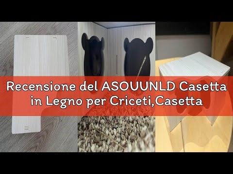 Recensione del ASOUUNLD Casetta in Legno per Criceti,Casetta ad Angolo per Porcellini d’India,Casa i