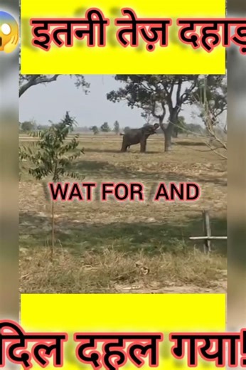 Angry Elephant Gone Wild 🐘 | आज का सबसे खतरनाक वीडियो! #viralvideo