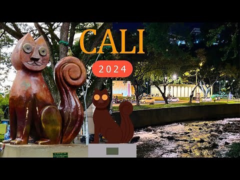 GATO del RIO 2024 el lugar mas TURISTICO de CALI - Parque de Los Gatos