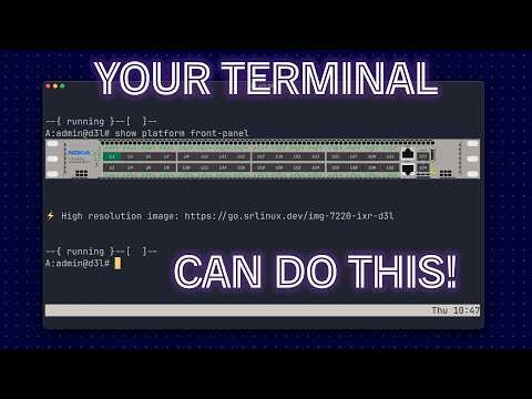 SR Linux front panels in your terminal