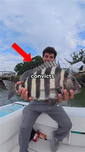 Garcia Bros 🇺🇸🇲🇽 on Instagram: "I fished where outer banks was filmed 🎥 shoutout @tight_line_charters for the great experience and putting us on all types of fish"