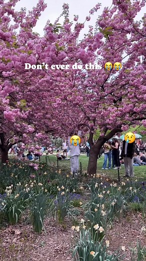 1.9M views · 2.2K reactions | Don’t ever do this please  #spring | Wander with Jin | Facebook