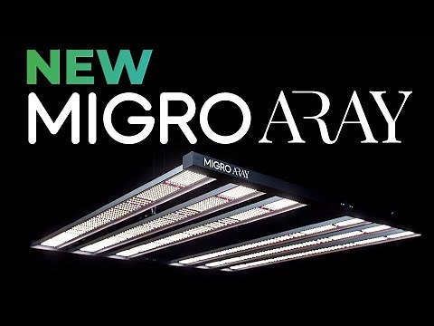 New MIGRO ARAY 5X5 LED grow light