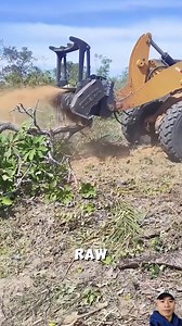 76K views · 244 reactions | A machine that cuts down the tree, grinds it into powder. #HeavyMachinery #ForestryTech #SmartMachines | Ogunquit, Maine Oceanfront Rentals | Facebook