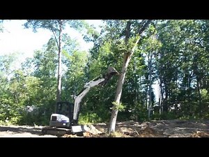 Mini Excavator Pushing Over Trees