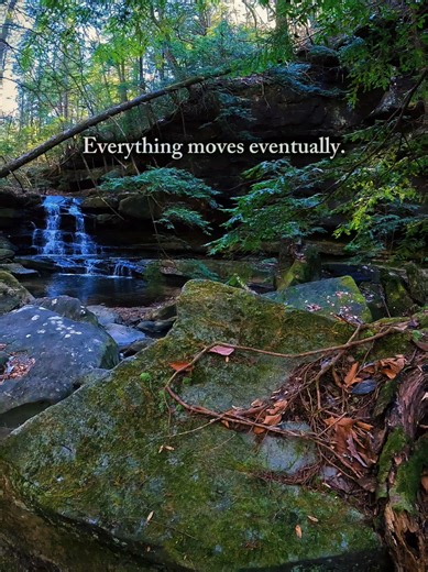 Embrace Change: Finding Peace in Stillness