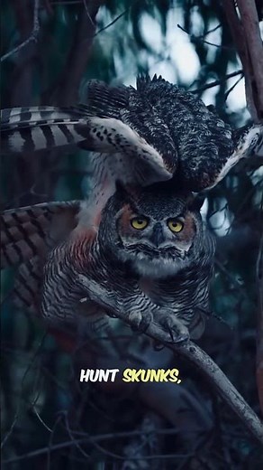 Great Horned Owl — The Silent Ruler of the Night 🌙