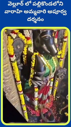 వెల్లూర్ లో పల్లికొండలోని వారాహి అమ్మవారి అపూర్వ దర్శనం || Prime pages