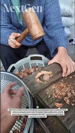 Grandma’s Traditional Nut Cracking Trick! Simple Tool, Perfect Results!