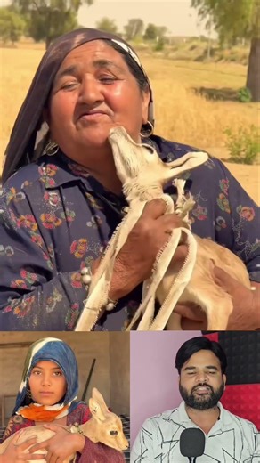 “A Relationship of Love: When a Deer Became Part of the Family and Then Got Separated”