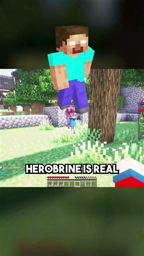 HEROBRINE IS REAL