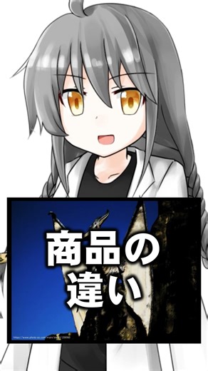 【ショート虚言】プテラノドンの化石は存在しません #shorts #vtuber