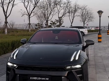 请领取你的座驾！