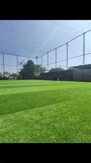 A controversial run-out has taken over the cricket world!  Was it...