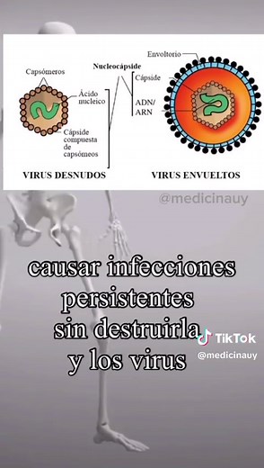 Understanding Viruses and Medicine: A Detailed Exploration