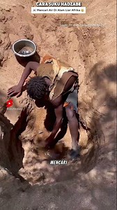 How the Hadza Tribe in Africa Finds Water!! #shorts ##hadzabetribe #feedshorts #africa