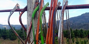 5 Types of Saws You Need to Know