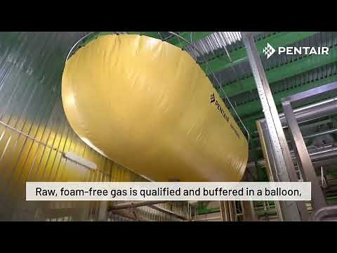 Dashen Brewery’s CO₂ Recovery Journey | Pentair Case Study