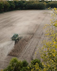 7.9K views · 64 reactions | Fall is cherished for many reasons—the change of leaves, time in the woods hunting and dust flying out the back of a combine. Here’s to the latter and a thanks to the folks behind the wheel. John Deere John Deere | Whitetail Institute of North America | Whitetail Properties | Facebook