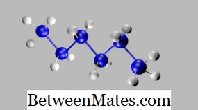 Unterschied zwischen Molekül und Mischung | Molekül und Mischung - Wissenschaft & Natur 2026