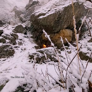 332K views · 4.7K reactions | Primitive Technology Outdoor Cooking...