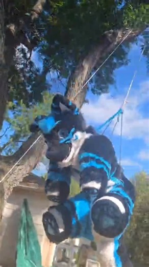 𝒟ℰ𝒱ℒ𝒪𝒞𝒦 on Instagram: "Swing 2.0 (OSHA approved version) #furry #swing #plushies #fursuit #dog"