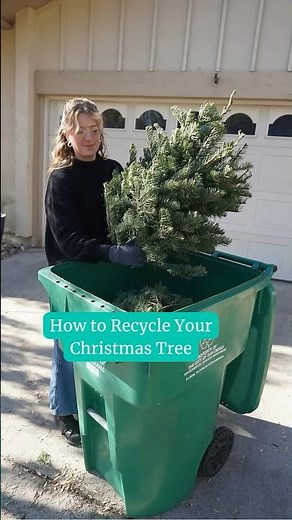 How to Recycle Your Christmas Tree!