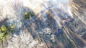 1K views · 32 reactions | Check out drone footage of today’s prairie burn! The prescribed and safely controlled burn will promote growth of native plants which are crucial to the prairie ecosystem. Next summer, the prairie will flourish with flowering plants like little bluestem, milkweed, wild bergamot, purple coneflower, and black-eyed Susan. | Tower Grove Park | Facebook