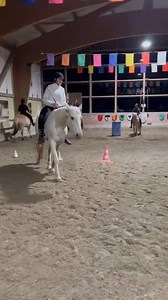 Work on a connection that resists distraction! Parelli courses or playdates with our Parelli Professionals and your friends are so good to work on the communication and bonding with your horse. It’s a good practice to really create focus while others are playing around you too. So join courses from our Parelli Professionals, like Carmen Zulauf, a distinguished 5-star Parelli Master Instructor and Horse Development Specialist located in Switzerland! 🇨🇭 Carmen holds a special place in the histor