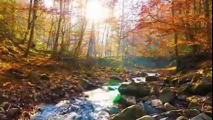 74 reactions · 12 shares | Peaceful Moments | Tim Janis | Facebook