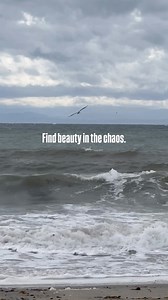 1.1K views · 122 reactions | Storm watchin’  #CapitolaVillage #CapitolaBeach #CapitolaByTheSea #ExperienceCapitola | Capitola Village | Facebook